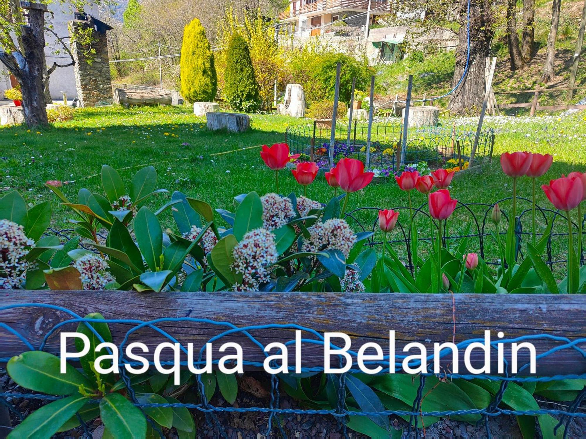 Belandin Ristorante Hotel Teglio Εξωτερικό φωτογραφία